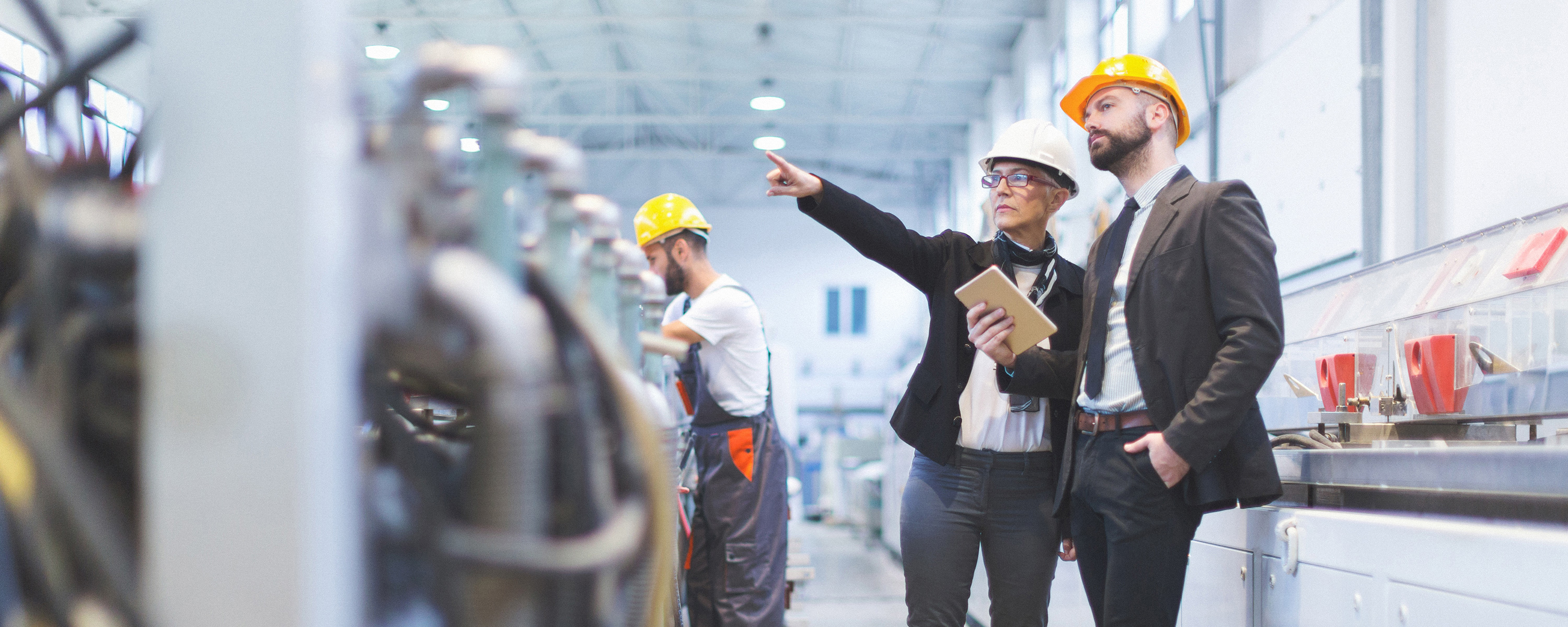 45-Waarom-advies.jpg 45-Waarom-advies.jpg